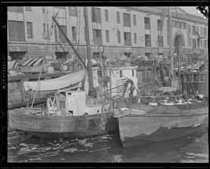 Italian fishing boats at T-Wharf