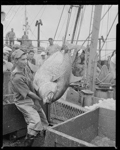 Fisherman unloads catch