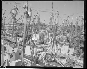 Fishing boats, possibly Gloucester