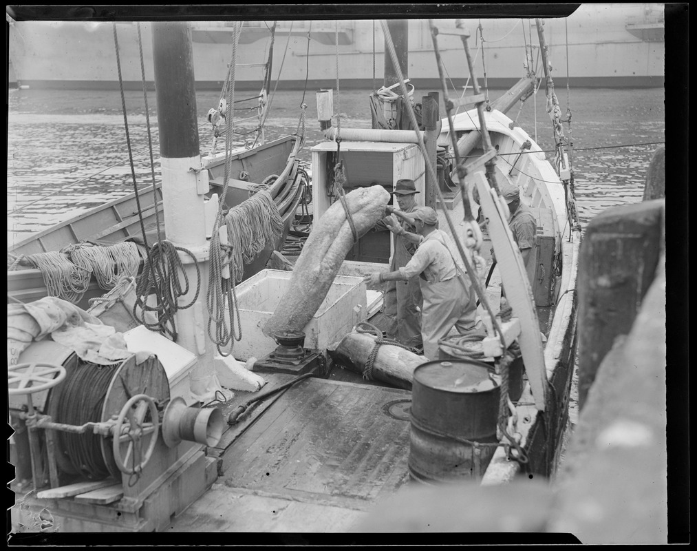 Fishermen at work aboard trawler - Digital Commonwealth