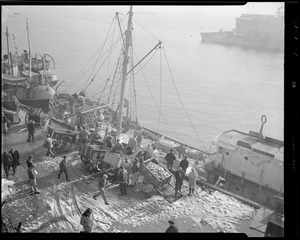 Unloading fish at fish pier
