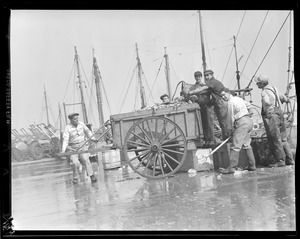 Loading catch into cart at fish pier