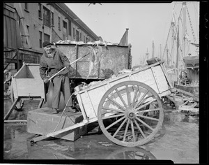 Loading catch into cart at fish pier