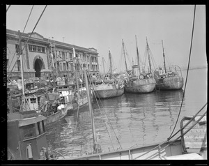Trawlers at fish pier