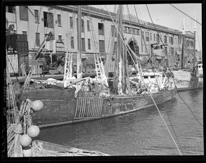 Trawlers at fish pier