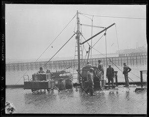 Workers at fish pier, South Boston