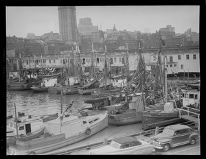 Italian fishing fleet - T-Wharf