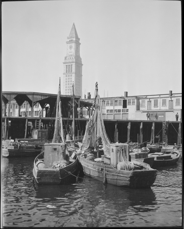 Fishing boats at Eastern Packer Pier - Custom House