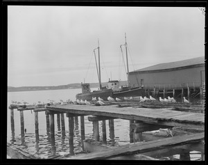 Fishing boats "Duke" & "A.T. Haynes," Rockport?, Mass. or Eastport, Maine