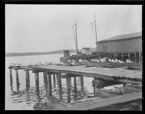 Fishing boats "Duke" & "A.T. Haynes," Rockport?, Mass. or Eastport, Maine
