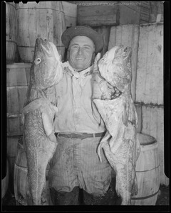 Man with two cod, fish pier