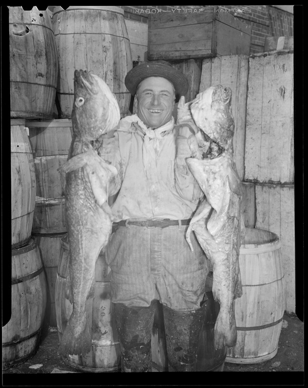 Man with two cod, fish pier