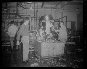 Unloading fish in General Sea Foods canning department, fish pier