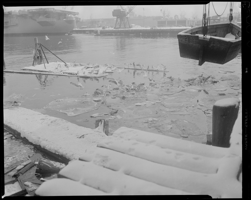 Flotsam at fish pier