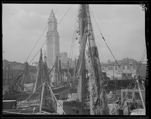 Fishing boats at T-Wharf, Custom House tower in background
