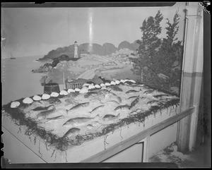 Array of fish before printed backdrop
