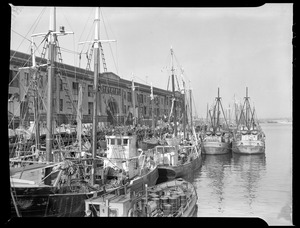Waterfront: Boston Harbor - fishing boats, fish pier