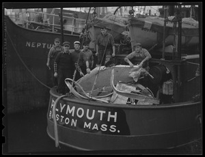 Fishing trawlers "Plymouth," "Neptune," & "Boston"