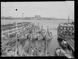 Waterfront: Boston Harbor - T-Wharf