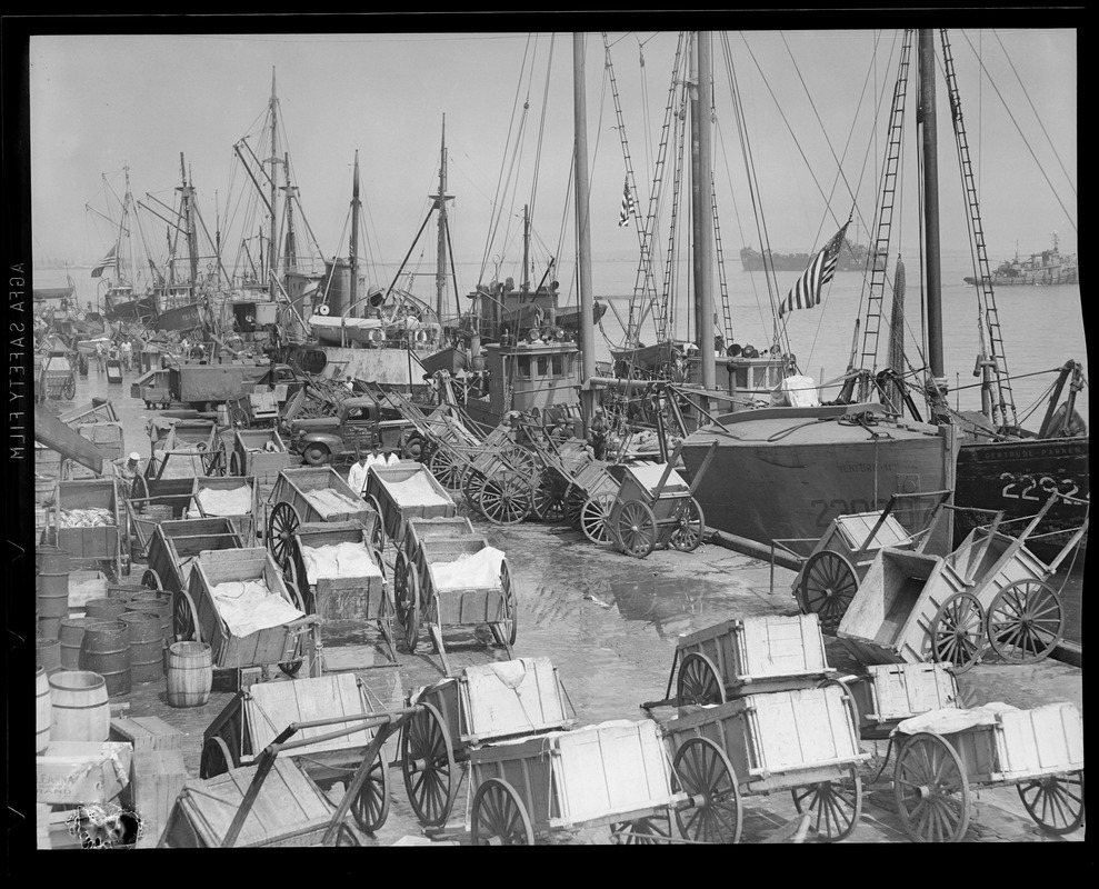 Boston: Fish pier carts, boats