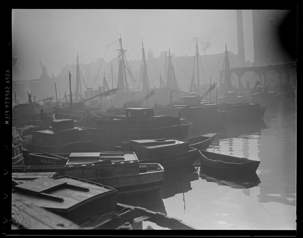 T-Wharf area fishing boats - fog