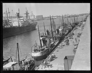 "Neptune," "Winchester," and others lined up at fish pier