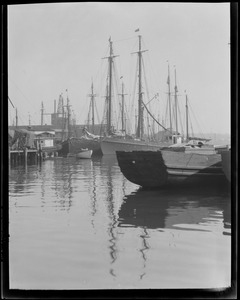 Gloucester fishing industry - "Arthur D. Story" and others