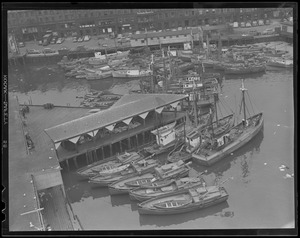 Waterfront: All fishing vessel views, mostly at or near T Wharf, North End, Boston & South Boston