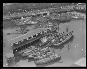 Waterfront: All fishing vessel views, mostly at or near T Wharf, North End, Boston & South Boston