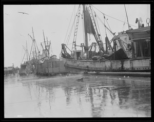 Waterfront: All fishing vessel views, mostly at or near T Wharf, North End, Boston & South Boston