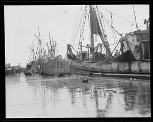 Waterfront: All fishing vessel views, mostly at or near T Wharf, North End, Boston & South Boston