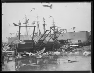 Seagulls flock around carts at the fish pier