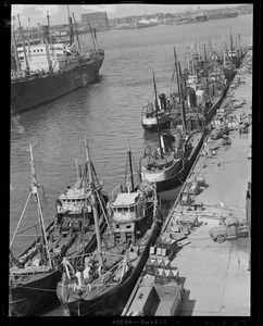 "Neptune," "Winchester," "Arlington," et. al at fish pier