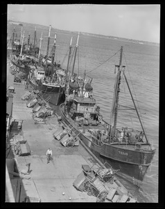 "Texas," "Nautilus," and others, fish pier