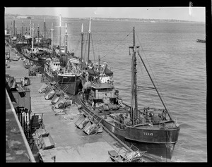 "Texas," "Nautilus," and others, fish pier