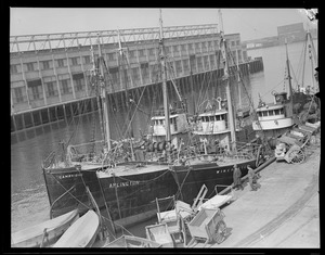 Ship - "Cambridge," "Arlington," "Winchester" - fishing trawler - fish pier