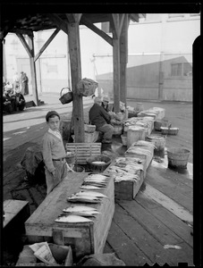 Boy selling fish on the Eastern Packet pier