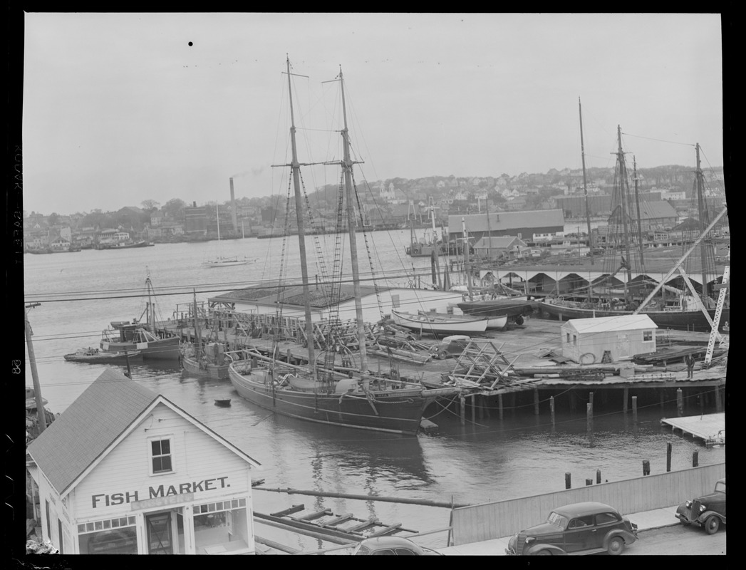 Mass Views: Fishing schooner and fish market, Gloucester Harbor