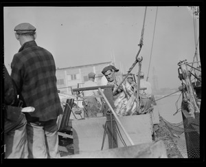 Unloading fish at fish pier