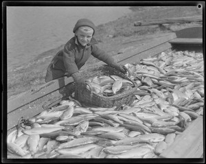 Animals: Boy handles herring at herring run