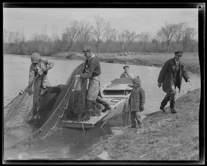 Herring run, Raynham