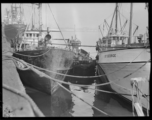Trawlers at fish pier