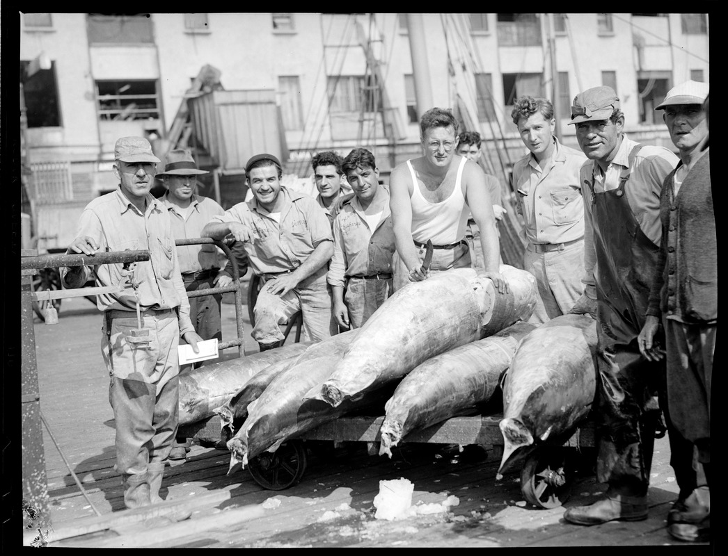 Crew with swordfish on cart, fish pier