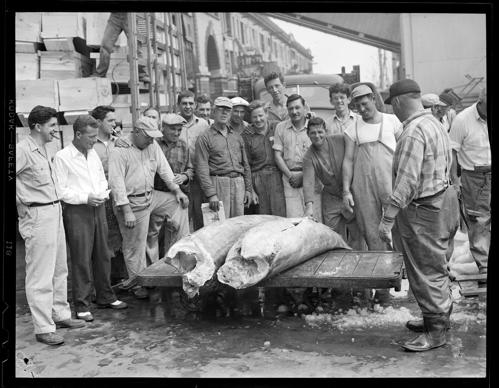 Crew with swordfish on cart, fish pier