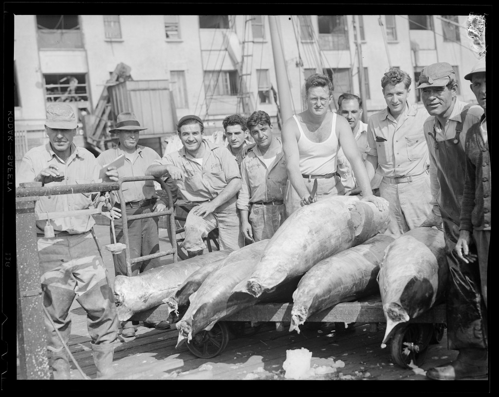 Crew with swordfish on cart, fish pier