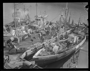 Trawlers at fish pier during swordfish days