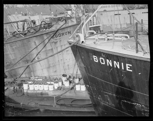 Trawlers at fish pier during swordfish days