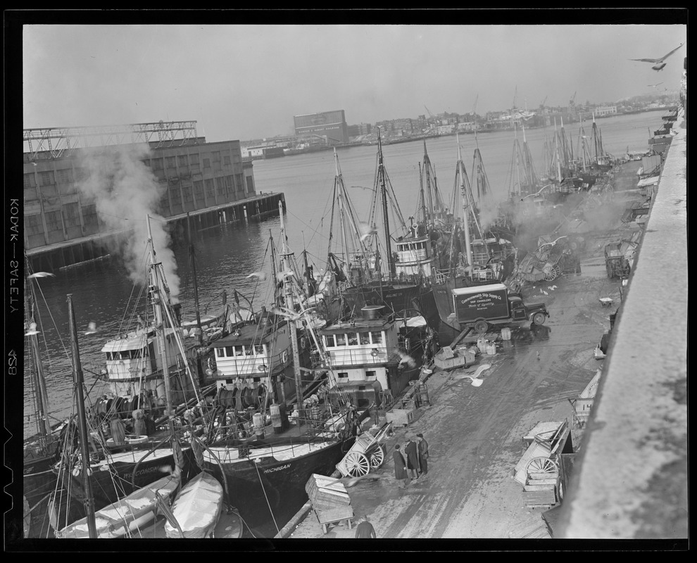 Trawlers at fish pier