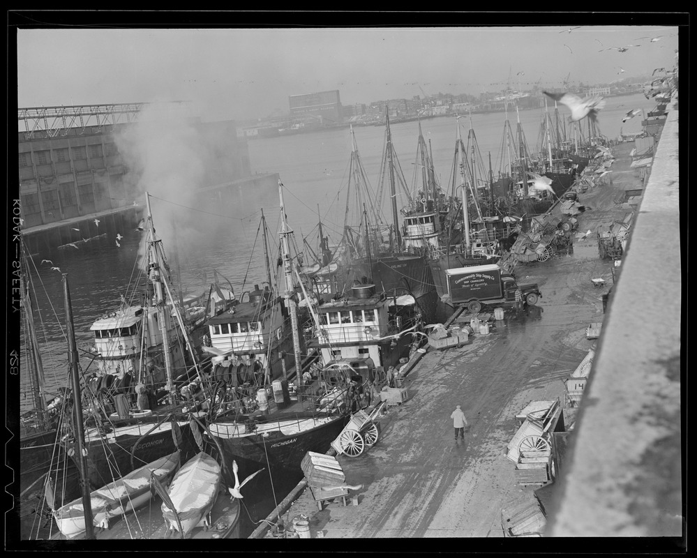 Trawlers at fish pier