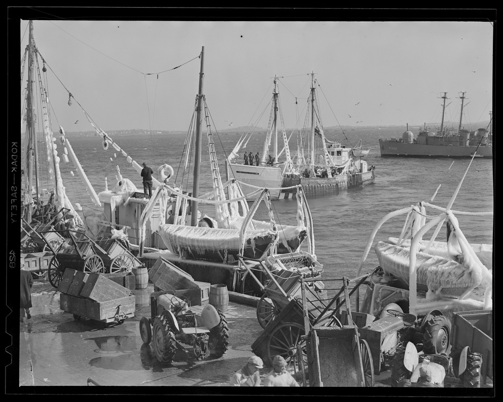 Trawler Felicia, from Gloucester docking at fish pier - Digital ...